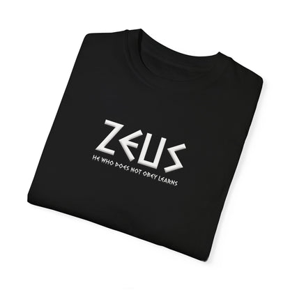 Unisex Garment-Dyed T-shirt - Zeus