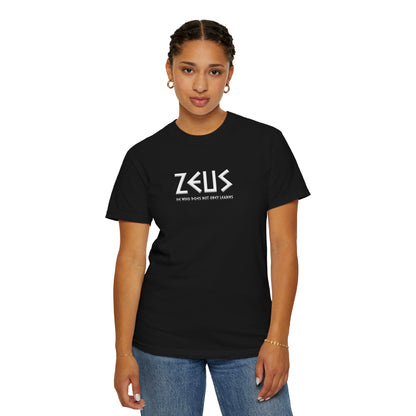 Unisex Garment-Dyed T-shirt - Zeus